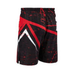 MMA Shorts